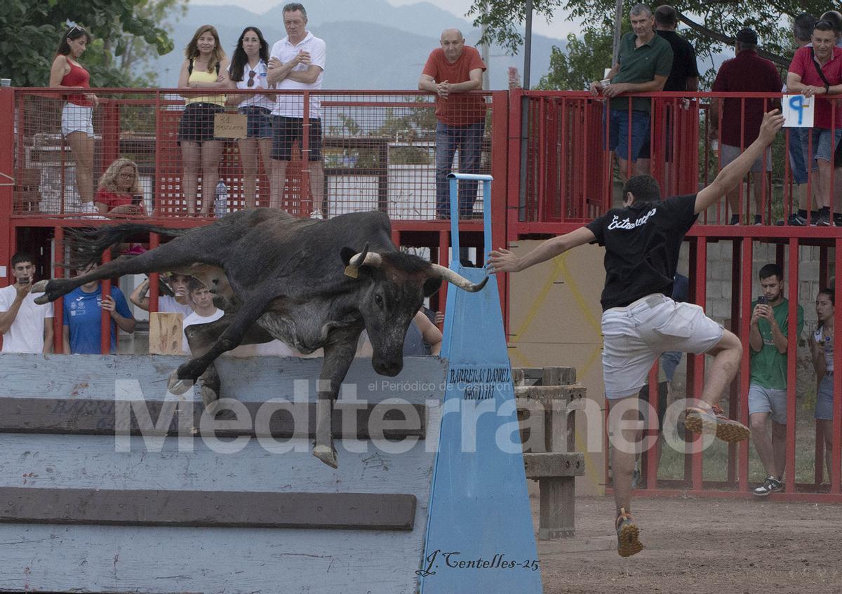 Bous a Les Alqueries 2025