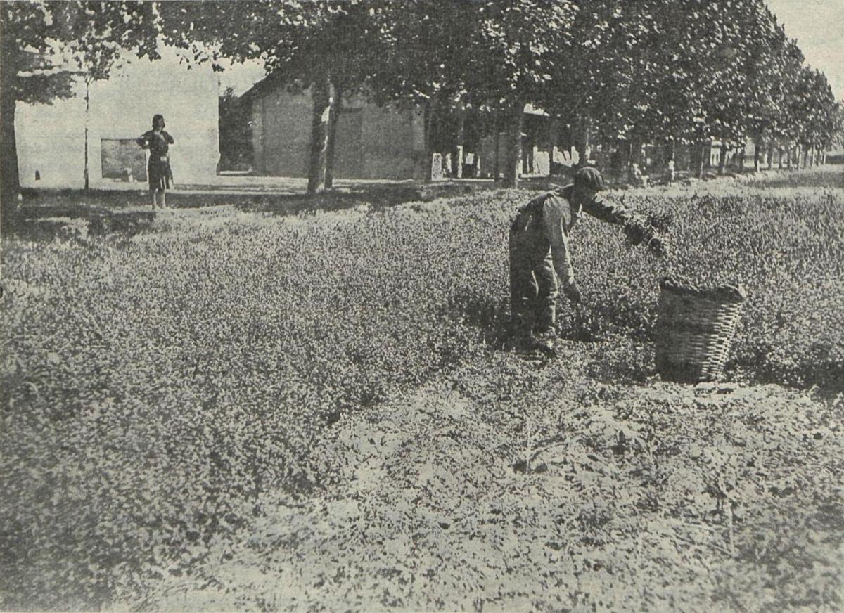 En imágenes | Así era la Granja Agrícola Experimental de Zaragoza