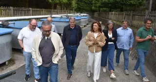 Destacan la cría de variedades de truchas en O Carballiño