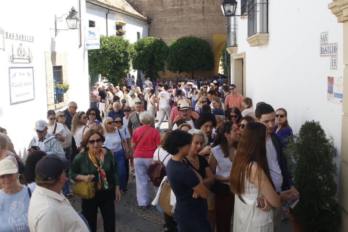 Las últimas visitas a los Patios de Córdoba 2026