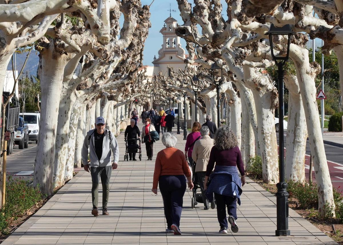 Imagen reciente de castellonenses paseando en la Avenida que lleva a la Basílica de Lledó.