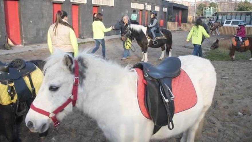 El Campi qui Jugui obrirà portes dimecres.