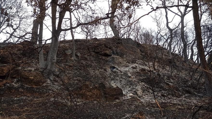 El Consell Comarcal de l&#039;Anoia activa una oficina de suport als ajuntaments afectats per l&#039;incendi forestal