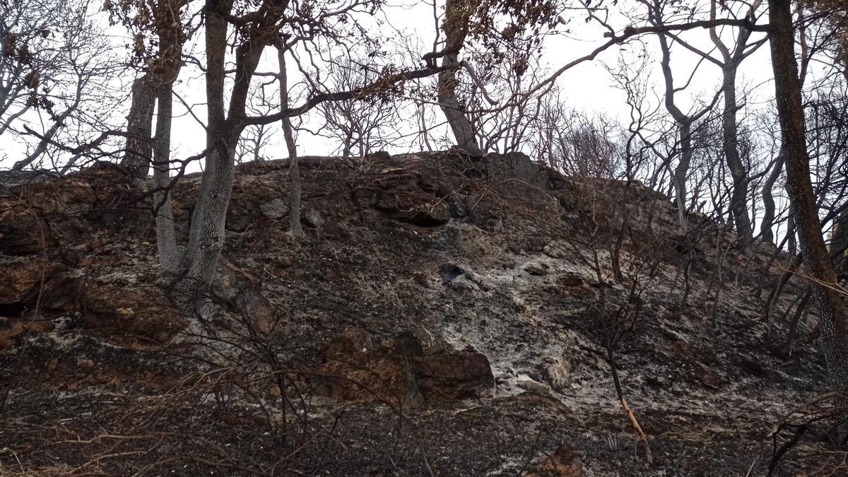 Incendi a la Conca de Barberà i a l&#039;Anoia, en fotos