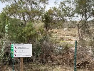 La riada de Therese inunda la Charca de tilapia de las presas