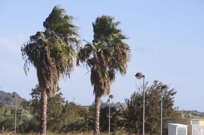 El viento sopla con fuerza en Xàtiva
