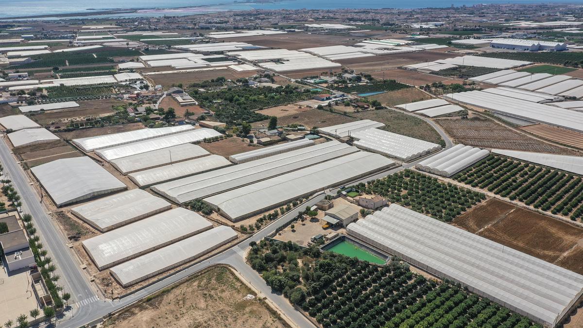 Los invernaderos de Pilar de la Horadada y San Pedro del Pinatar, en la imagen, han transformado con la llegada del trasvase Tajo Segura los trazados de evacuación natural de las aguas pluviales en la &quot;raya&quot; entre la Región de Murcia y la Comunidad Valenciana