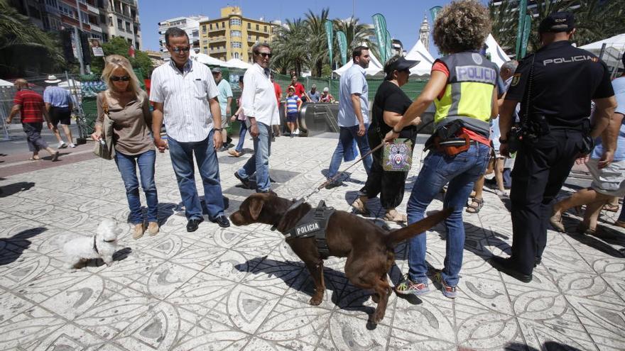 Uno de los perros policía durante una inspección hoy