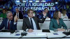 El líder del PP, Alberto Núñez Feijóo, preside la junta directiva nacional del partido en Génova.