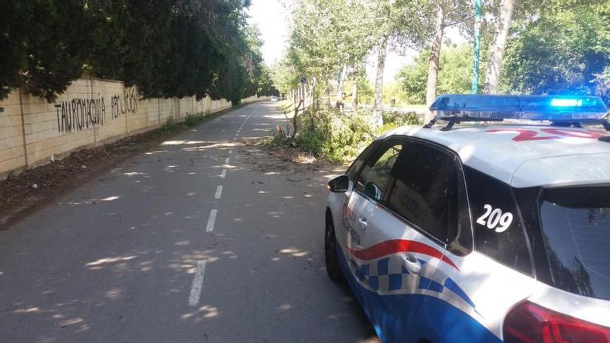 Los daños del viento movilizan a los bomberos de Zaragoza, con 50 salidas