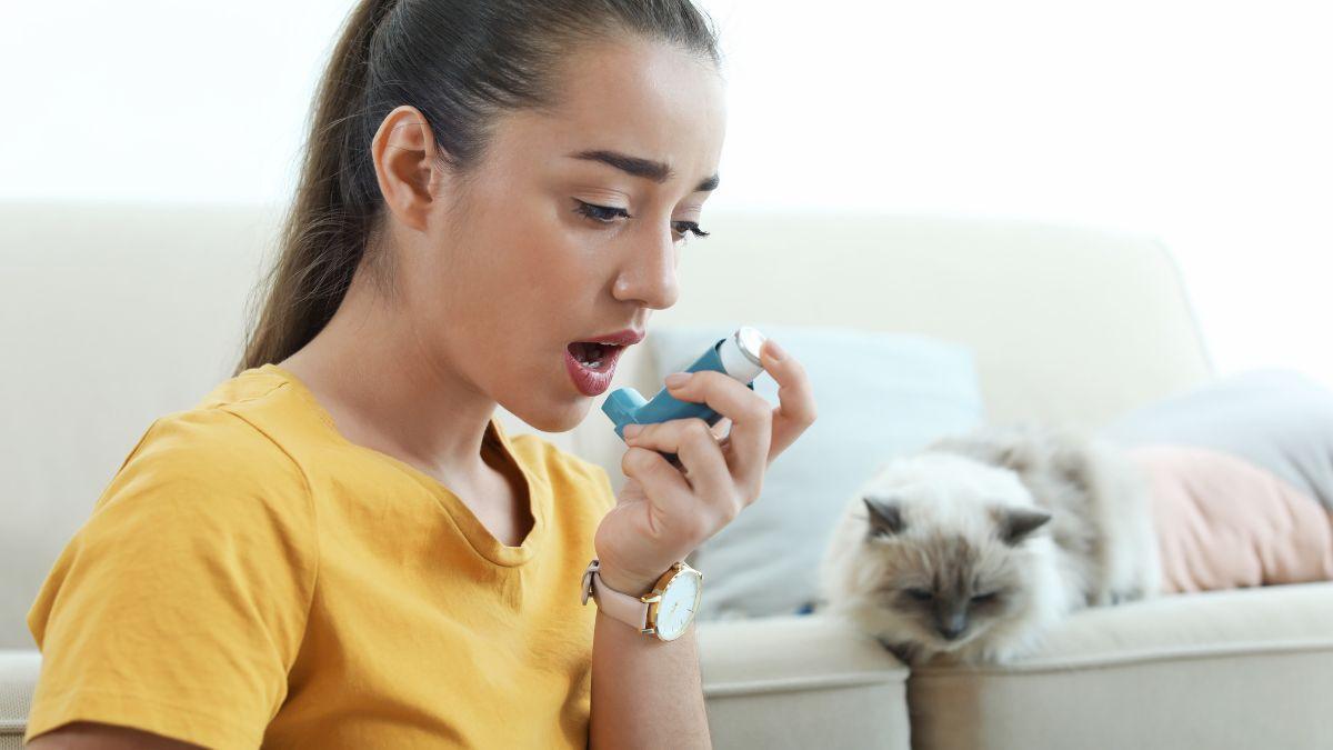 Los veterinarios coinciden: los dueños de gatos tienen hasta un 68% menos de probabilidad de desarrollar asma