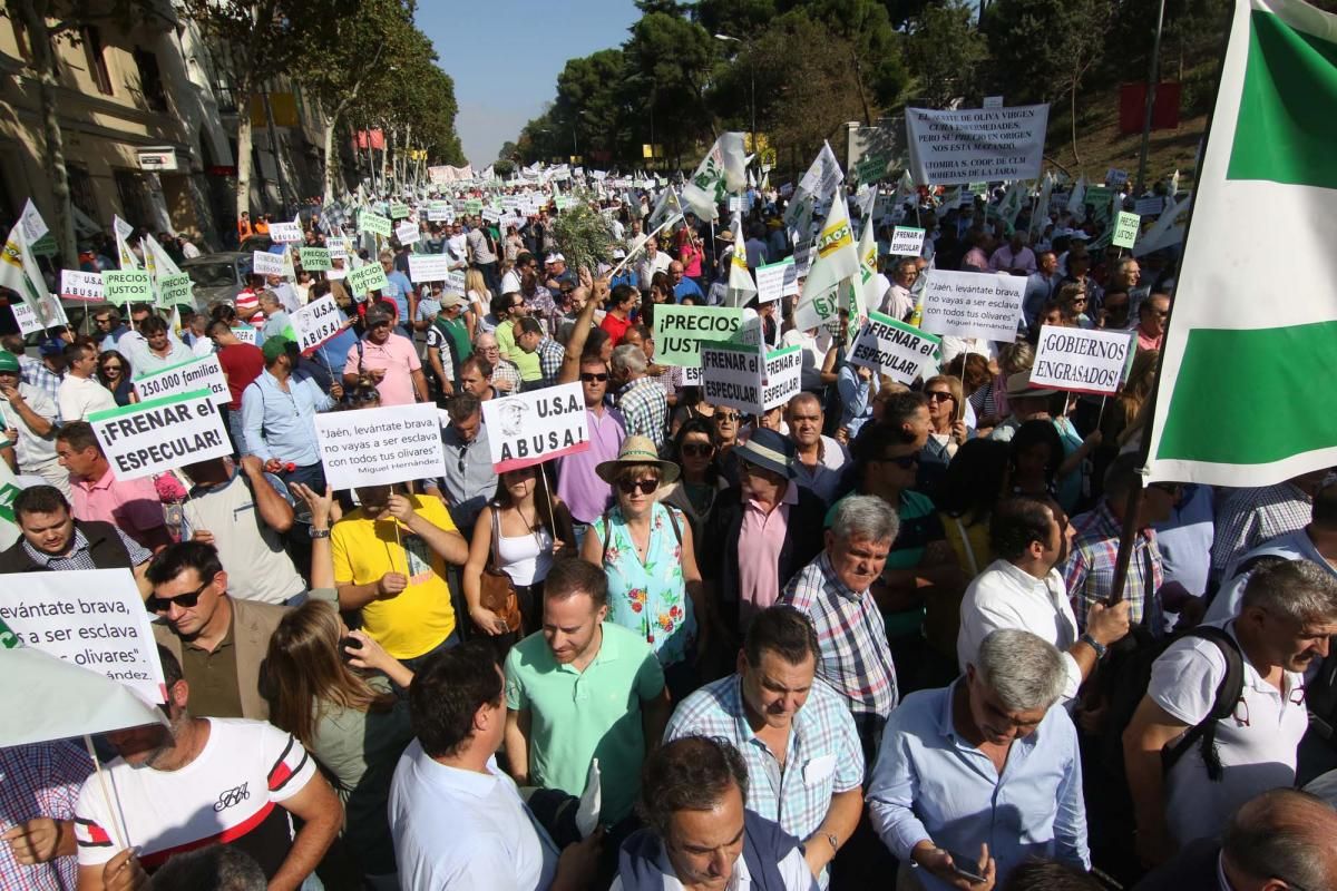 Córdoba se suma a la gran manifestación del olivar en Madrid