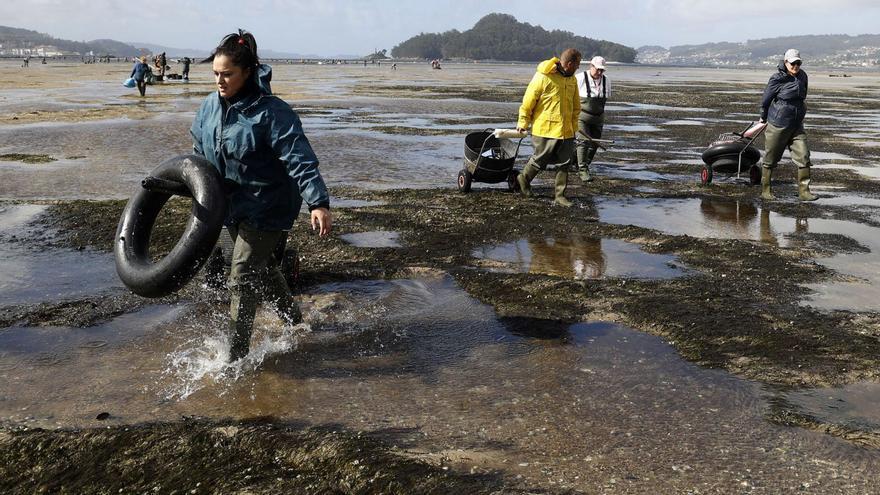 Varias mariscadoras en plena faena en la mañana de ayer en Campelo. En el recuadro, la nueva división de zonas de la ría.   | // GUSTAVO SANTOS