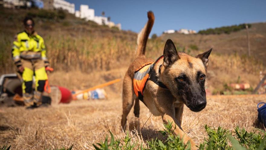 Unidad canina de Protección Civil
