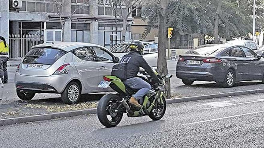 Lugar donde el joven motorista se estrelló, ayer, contra un árbol en la avenida de Gabriel Alomar.