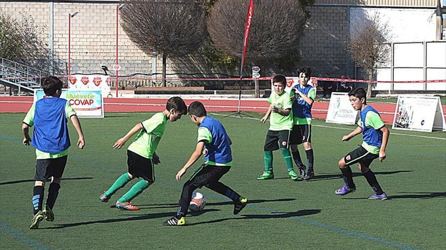 Arranca el torneo más sano