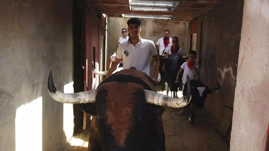 VIDEO | Escuelas Taurinas en Benavente