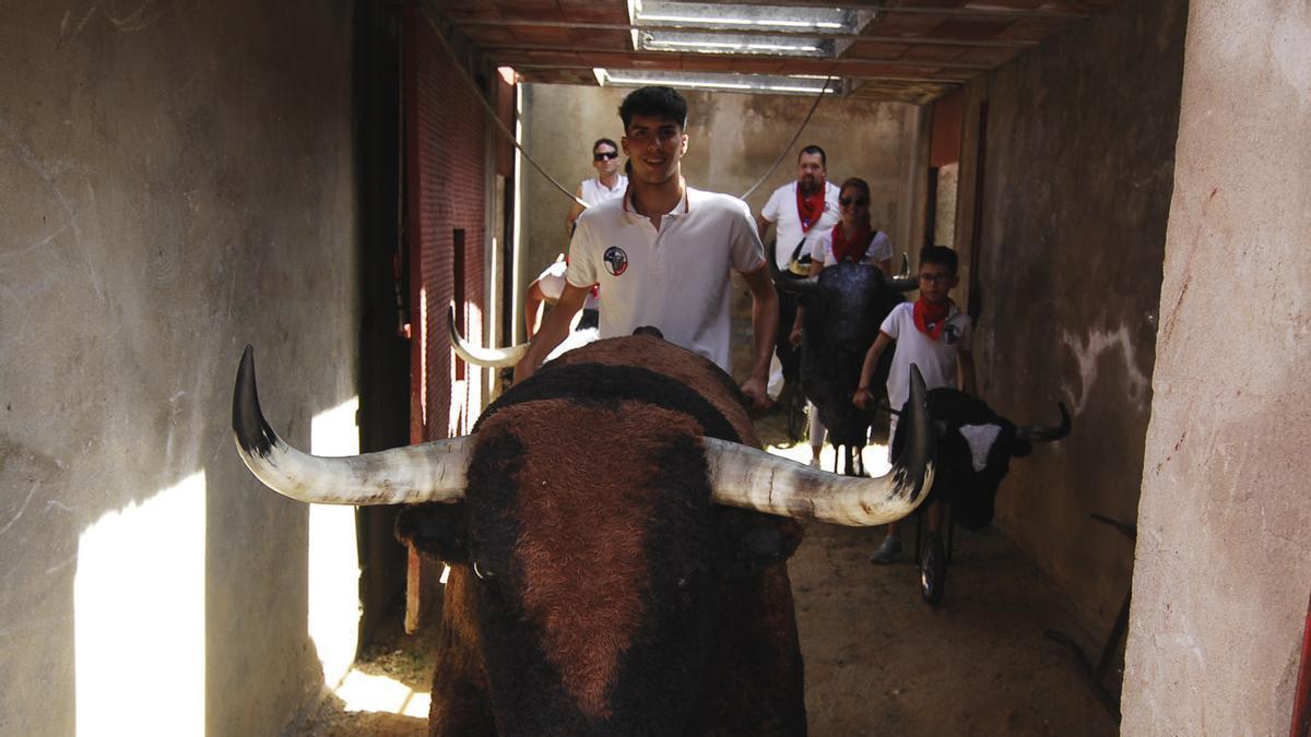 VIDEO | Escuelas Taurinas en Benavente