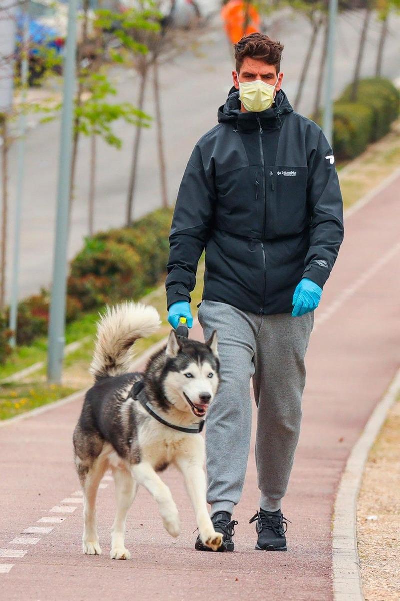 Diego Matamoros paseando con su perro