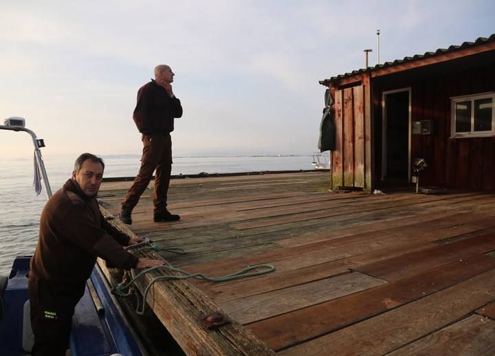 Libre marisqueo O Grove