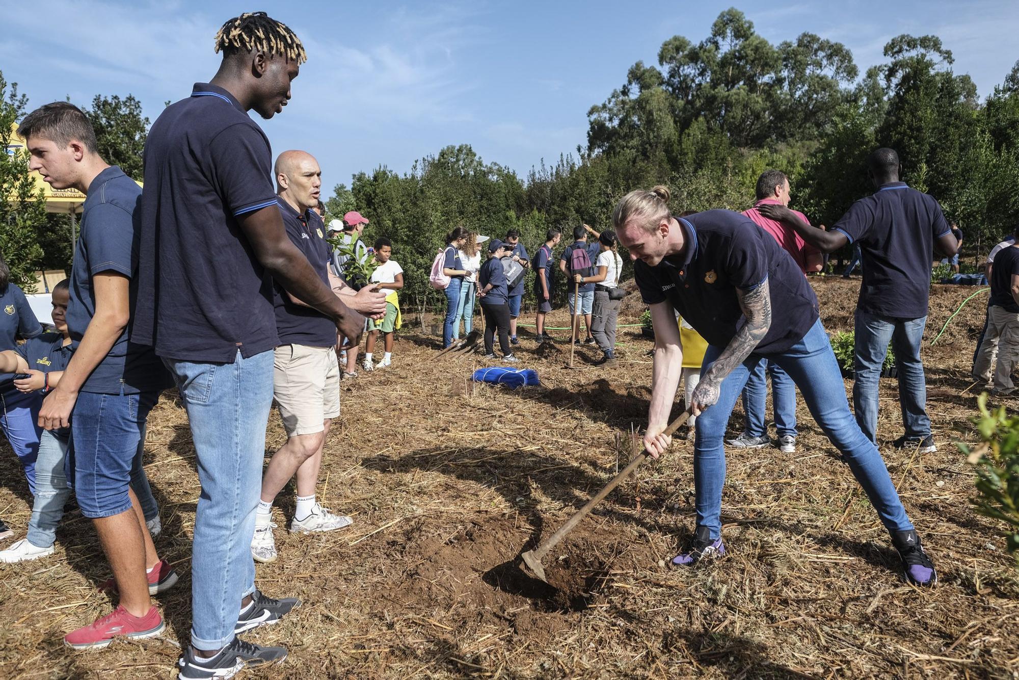 Reforestación 'Compromiso Granca'