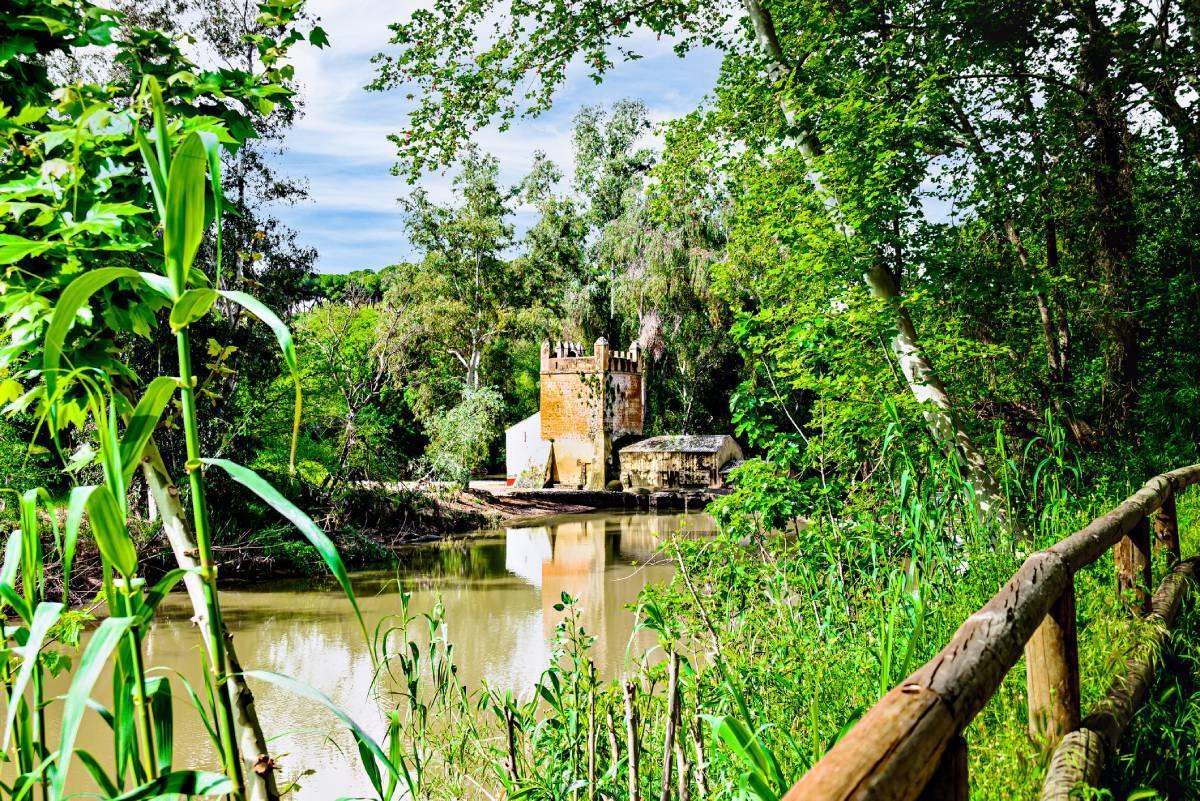 El molino harinero del Algarrobo en Alcalá de Guadaíra