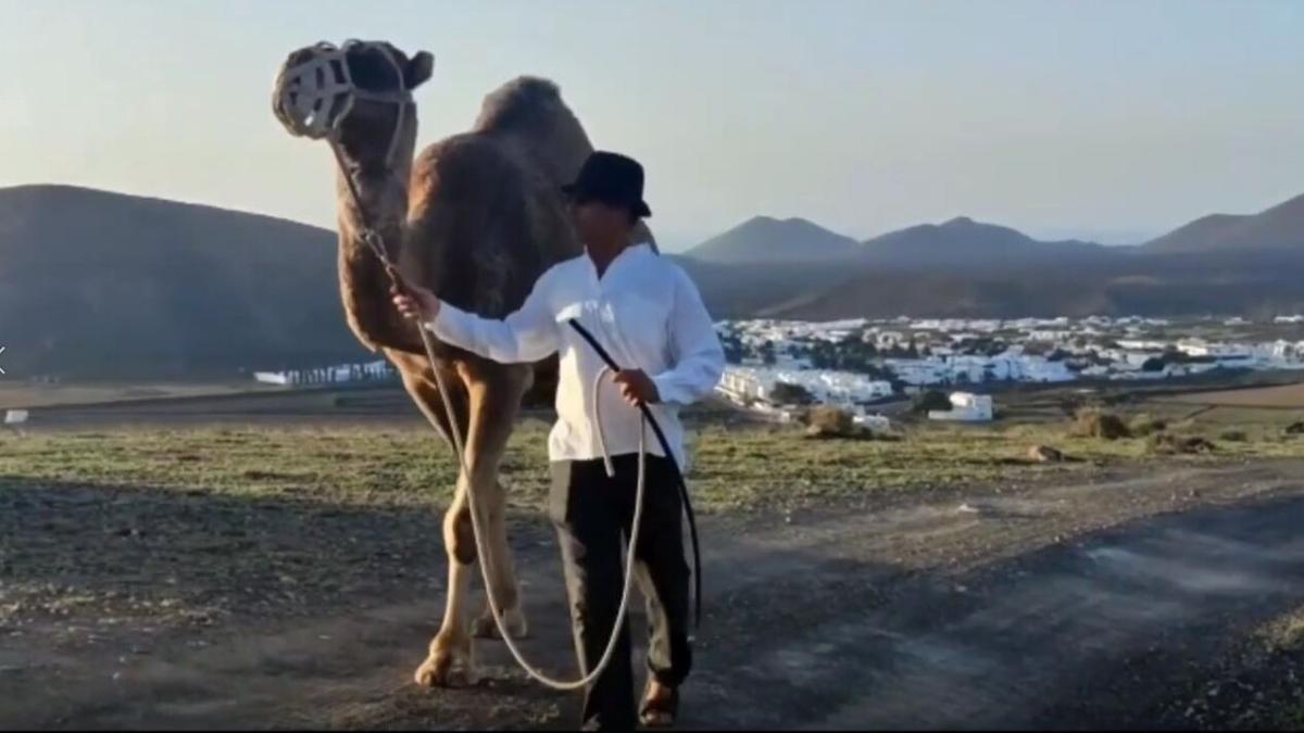 Toño Morales y su camello 'Apolino' durante la preparación de la escena en el Vallito de Uga.