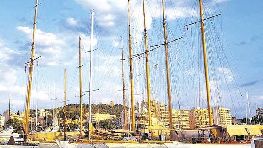 Varios de los barcos participantes, en la Bahía de Palma.