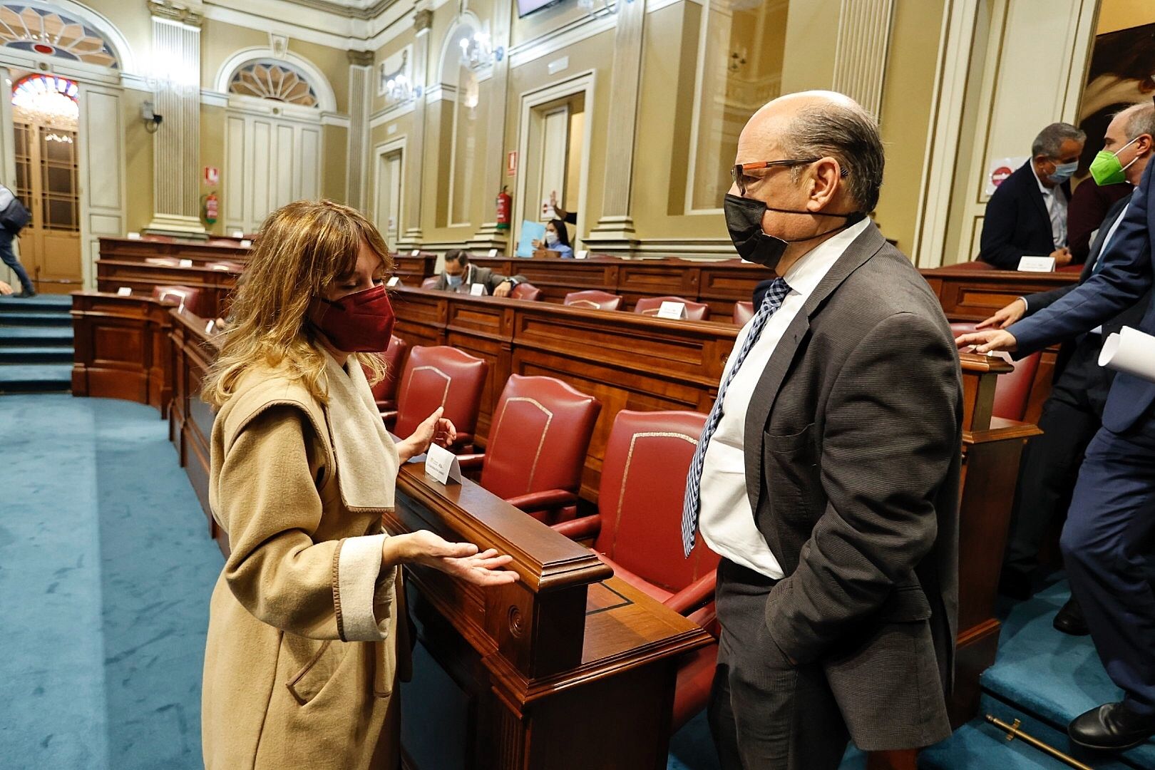 Pleno en el Parlamento de Canarias (9/2/21)