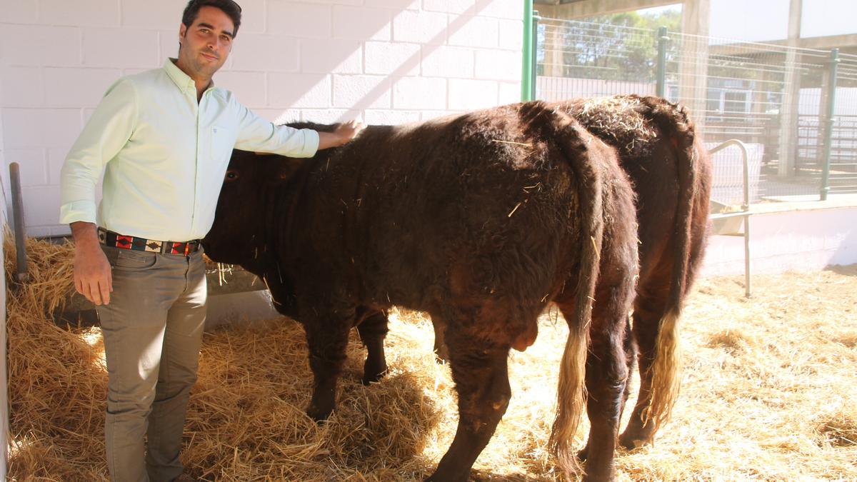 Jesús Sayago muestra orgulloso sus ejemplares de Salers.