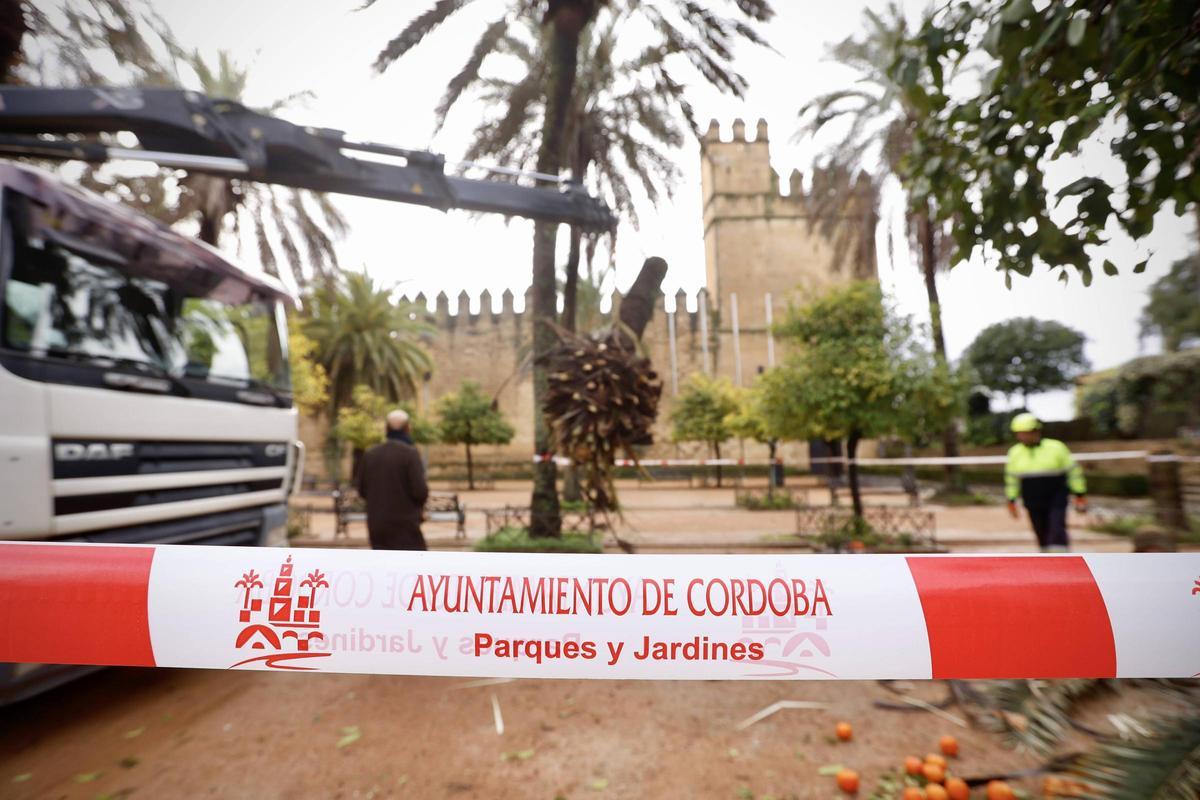 Imagen de los jardines del Alcázar tras el paso del temporal.