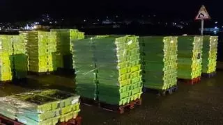Incautados 13.862 kilos de sardina en el puerto de Corcubión y denunciadas cuatro embarcaciones