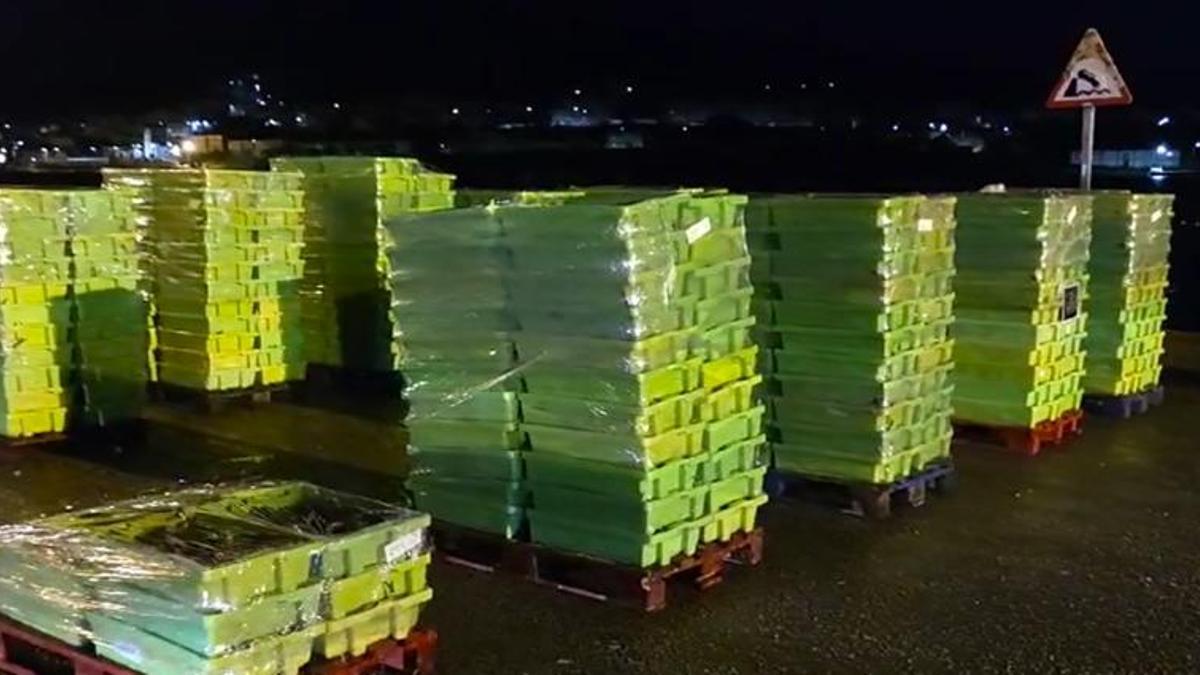 Cajas de sardina incautadas en el puerto de Corcubión