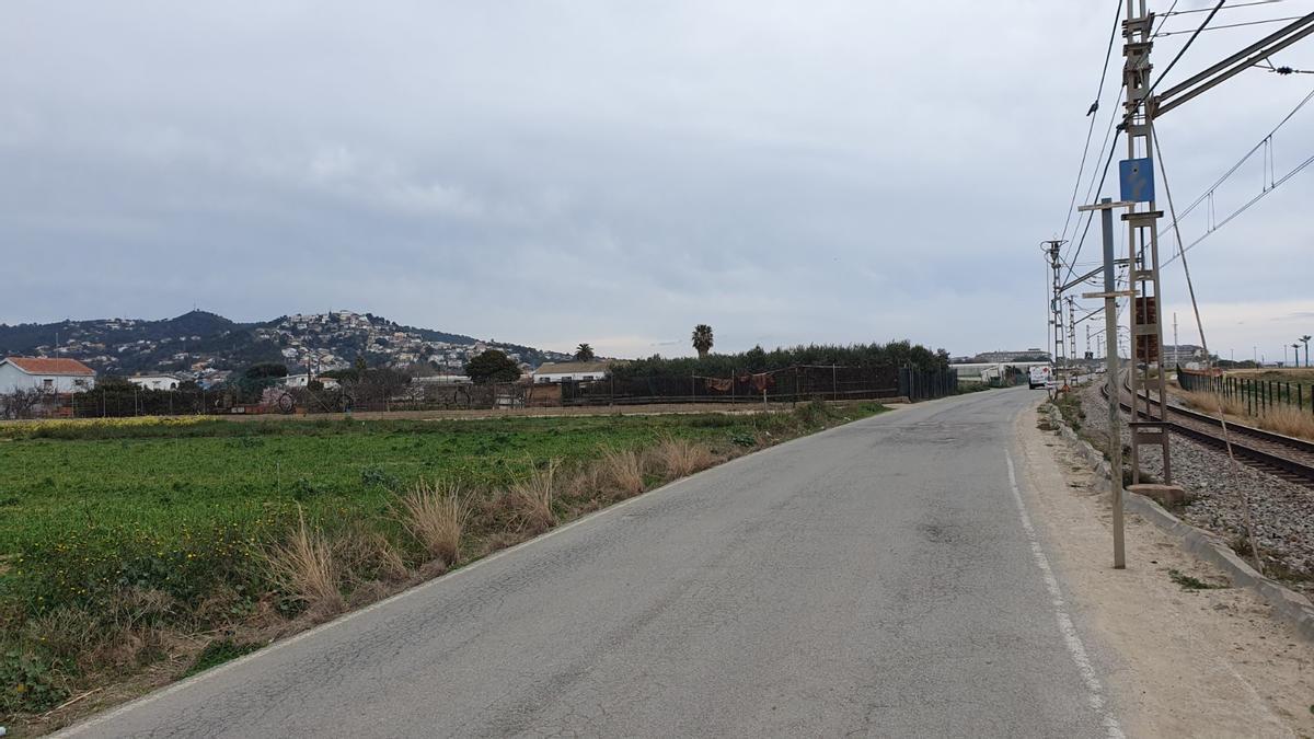El Pla de Balasc, entre Pineda i Santa Susanna El Pla de Balasc, entre Pineda i Santa Susanna