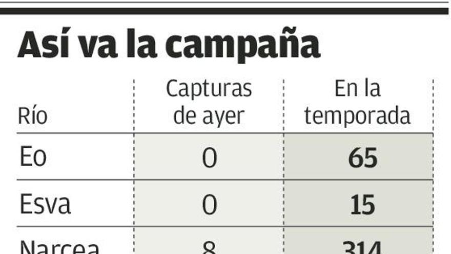 Salieron ayer 27 salmones, con un cupo en El Barco