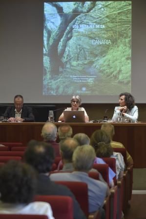 Presentación de libro y exposición sobre la lauris