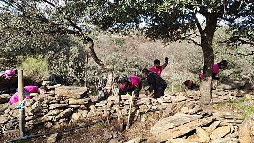 Trabajos de reconstrucción de la pared en el Centro de Estudio y Protección del Burro en Atenor, en la provincia de Miranda do Douro.