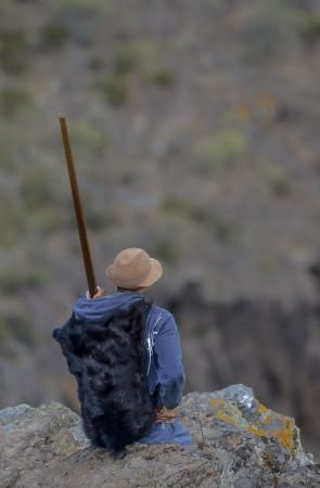 26/05/2018 TASARTICO, ALDEA DE SAN NICOLAS.  Apañada de cabras en la zona de Güi Güi, organizada por el Cabildo de Gran Canaria y  con la colaboración de distintos colectivos. FOTO: J. PÉREZ CURBELO  | 26/05/2018 | Fotógrafo: José Pérez Curbelo