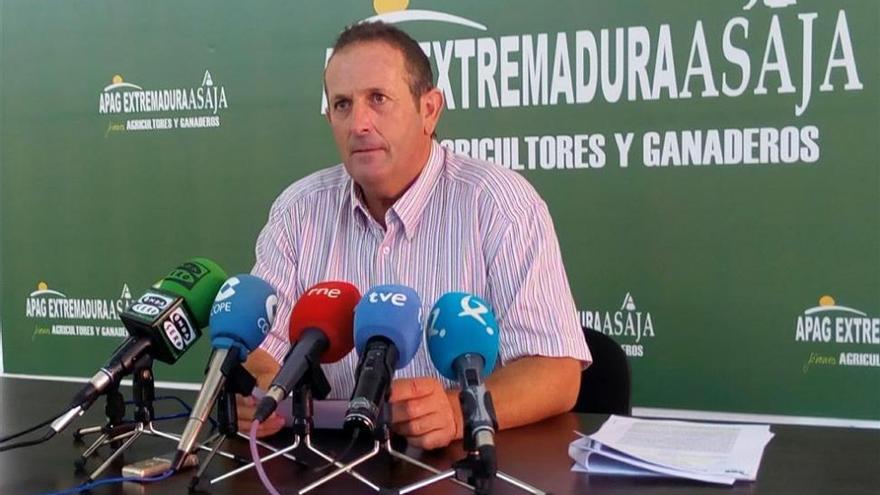 Apag Extremadura Asaja ha criticado que a estas alturas de la vendimia sigan sin establecerse los precios