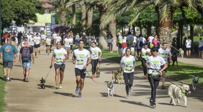 16/12/2018 LAS PALMAS DE GRAN CANARIA. Carrera ...