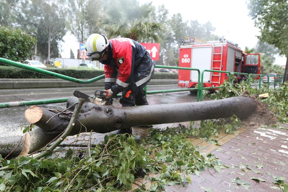 La lluvia en Córdoba deja una decena de incidencias