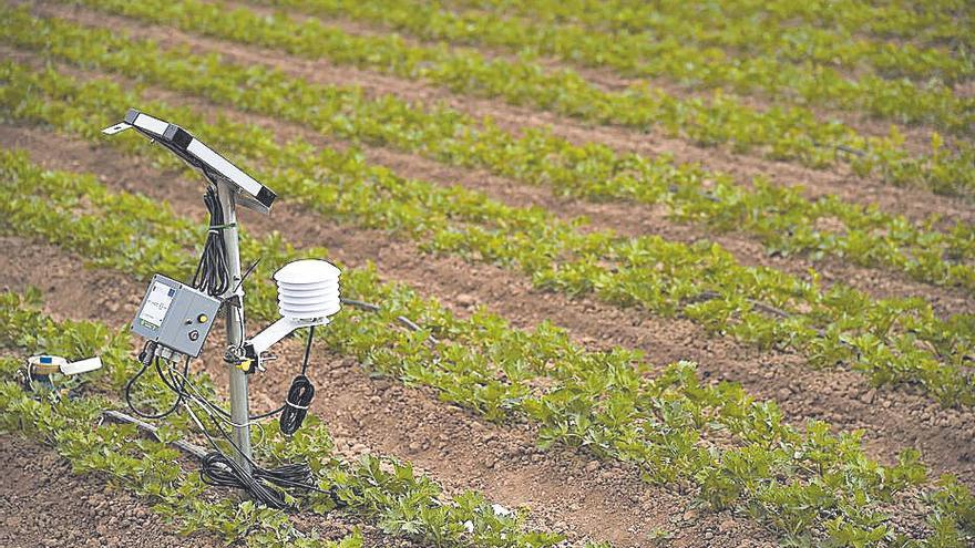 La Comunidad lanza 8 millones de euros en ayudas para el agroambiente