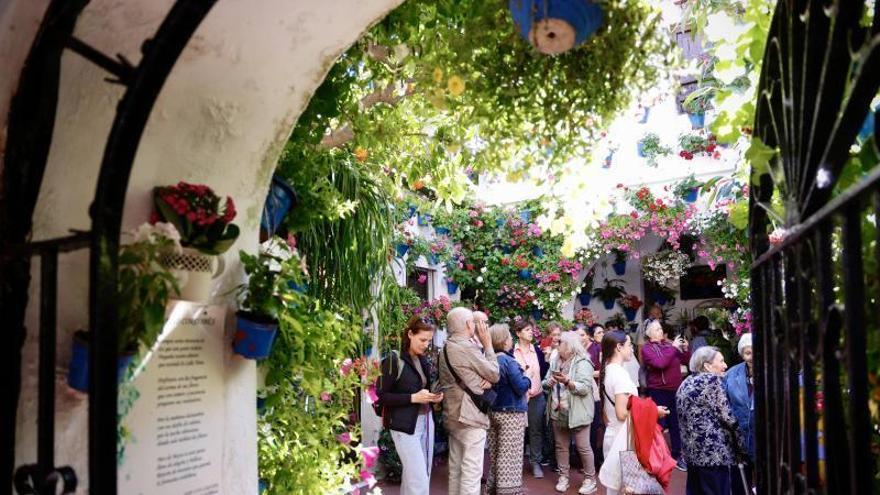 Los Patios de Córdoba más premiados en el concurso