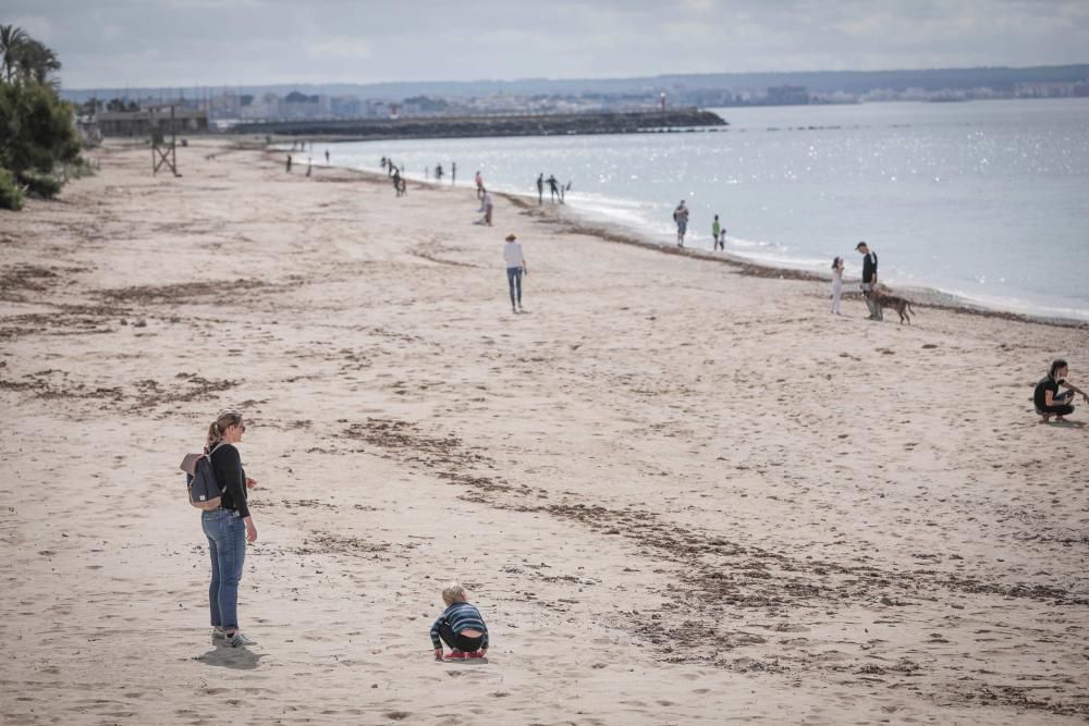 Coronavirus en Mallorca: Los niños disfrutan de sus primeras horas de libertad en las calles de Mallorca