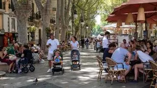 PSOE, PP y Més marcan sus prioridades para reformar la Ley de Capitalidad de Palma