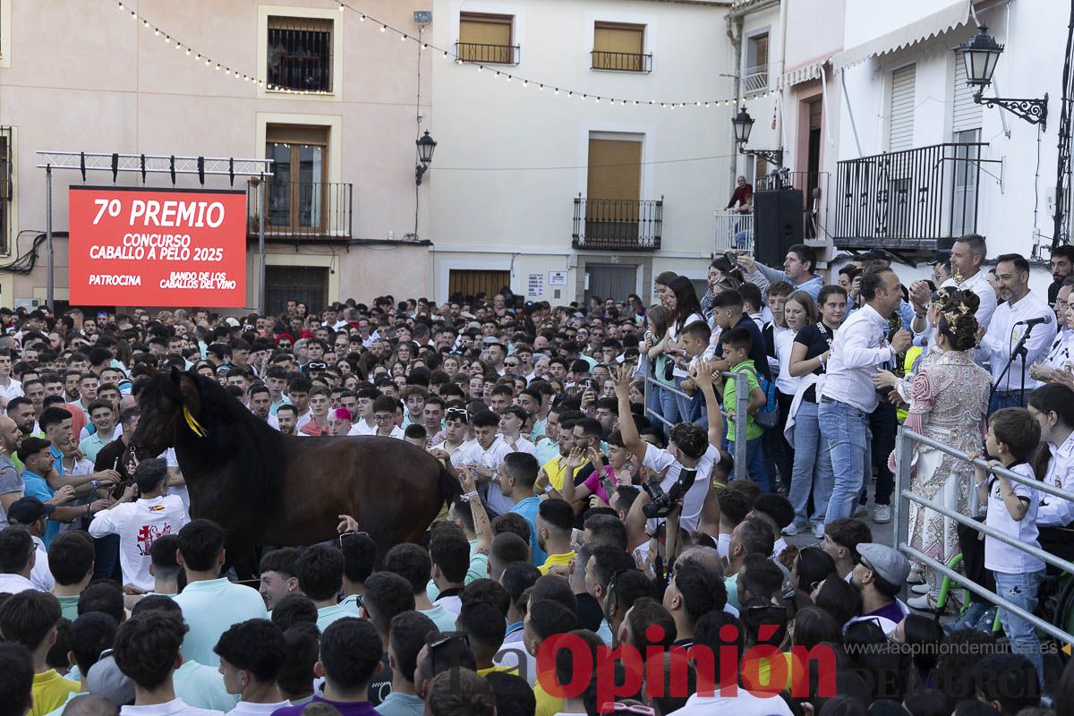 Fiestas de Caravaca | Entrega de premios del concurso morfológico