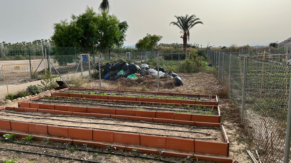 Restos de podas acumulados en una de las parcelas de los huertos urbanos