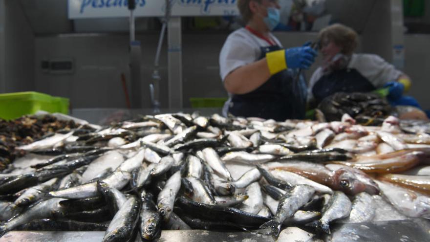 San Juan A Coruña 2020 | Sin hogueras, pero con sardinas