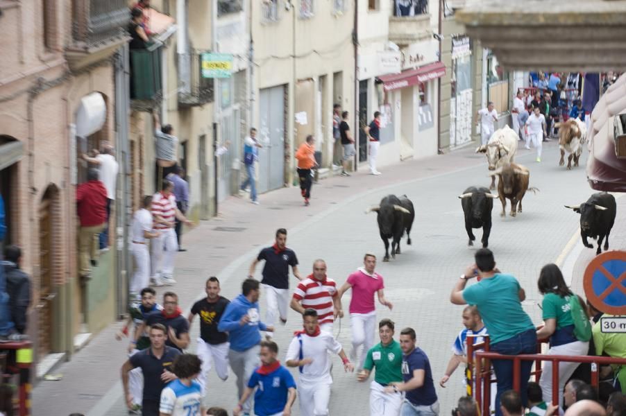 Becerrada, encierros y vaca de la sangría