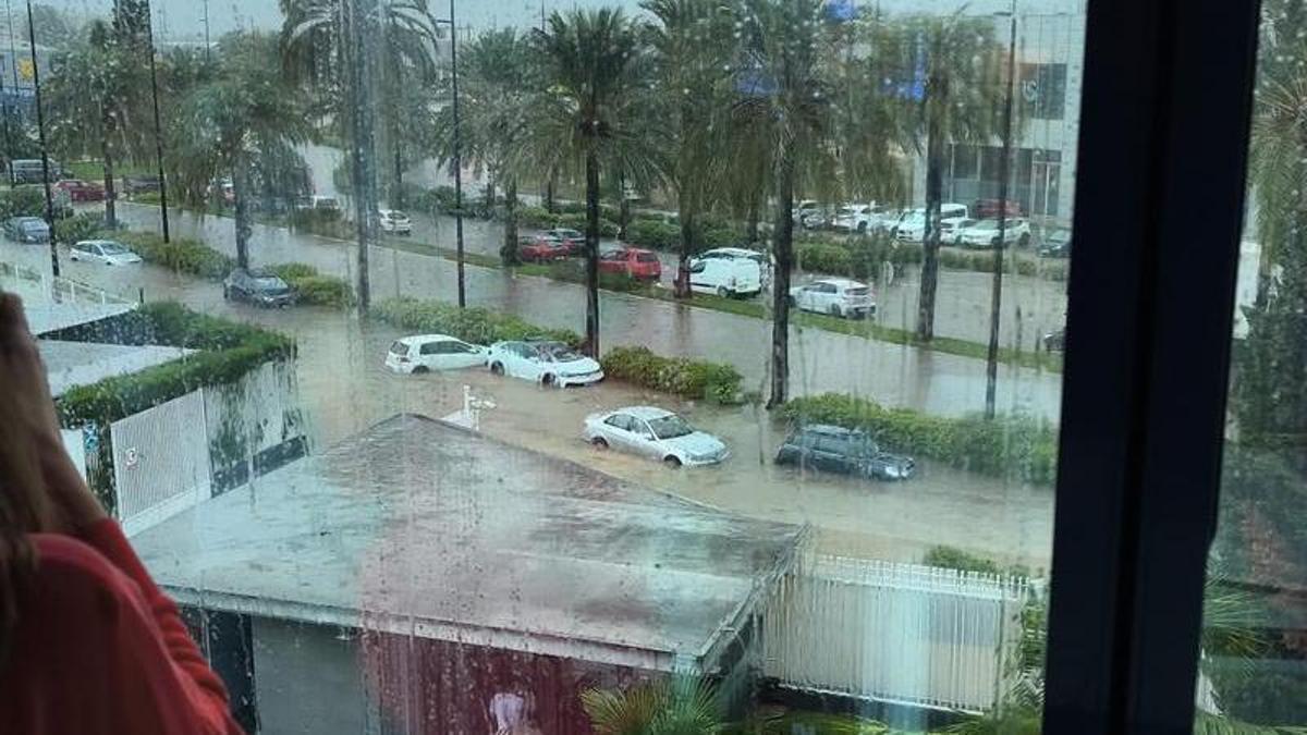 Coches en una zona inundada en el acceso sur de Gandia